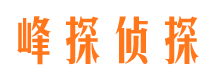 友好市侦探调查公司